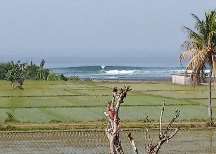 Harris Surf * プルカン